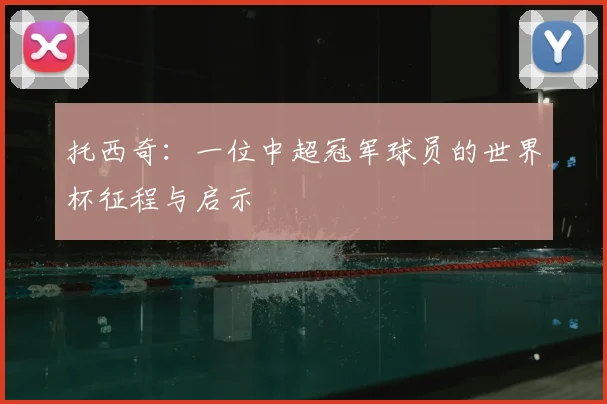 托西奇：一位中超冠军球员的世界杯征程与启示