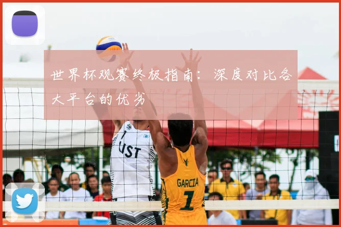 世界杯观赛终极指南：深度对比各大平台的优劣