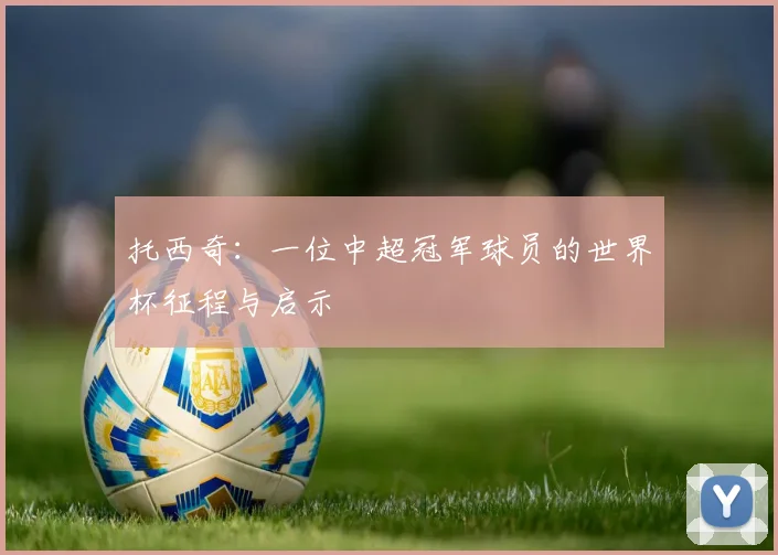 托西奇：一位中超冠军球员的世界杯征程与启示