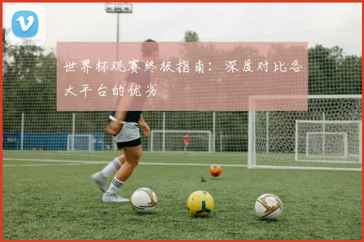 世界杯观赛终极指南：深度对比各大平台的优劣