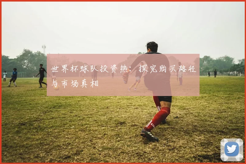 世界杯球队投资热：探究购买路径与市场真相